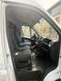 Fiat Ducato - thumbnail 4