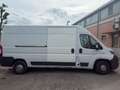 Fiat Ducato - thumbnail 3