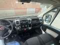 Fiat Ducato - thumbnail 7