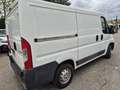 Citroen Jumper Fg. 2.2HDI 30 L1H1 110 Blanco - thumbnail 6