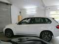 BMW X5 M 50D  + Standheiz + Individual + Voll Blanc - thumbnail 3