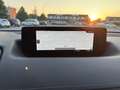 Mazda MX-30 35,5kWh Exceed Vintage OBC 7,4kW KM ZERO - thumbnail 10