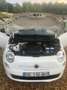 Fiat 500 500 1.2 8V 69 ch Lounge - thumbnail 8