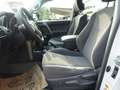 Toyota Land Cruiser Landcruiser 300 3,0 D-4D 175 City Weiß - thumbnail 15
