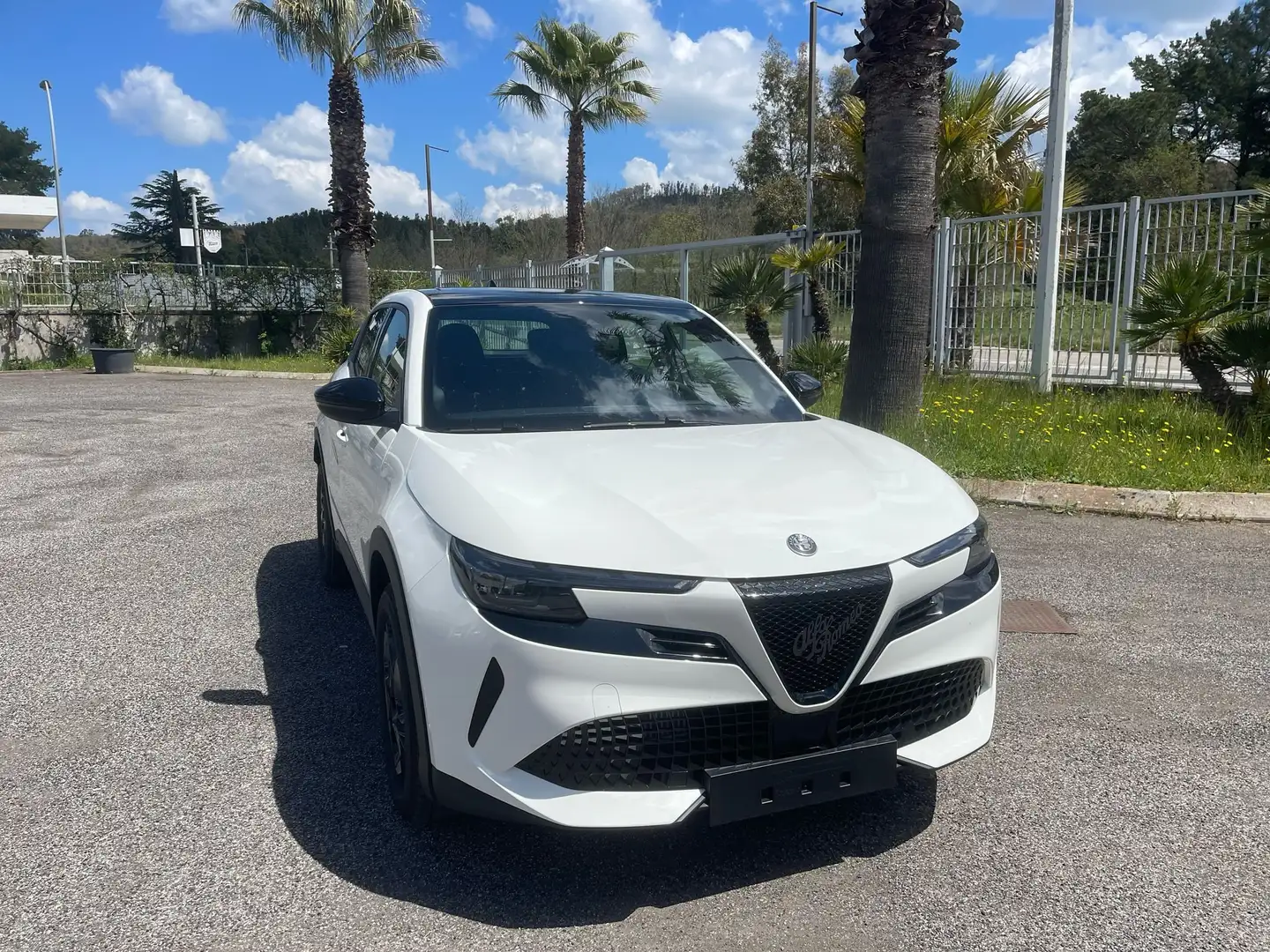 Alfa Romeo Junior hybrid eDCT6 speciale Blanc - 1