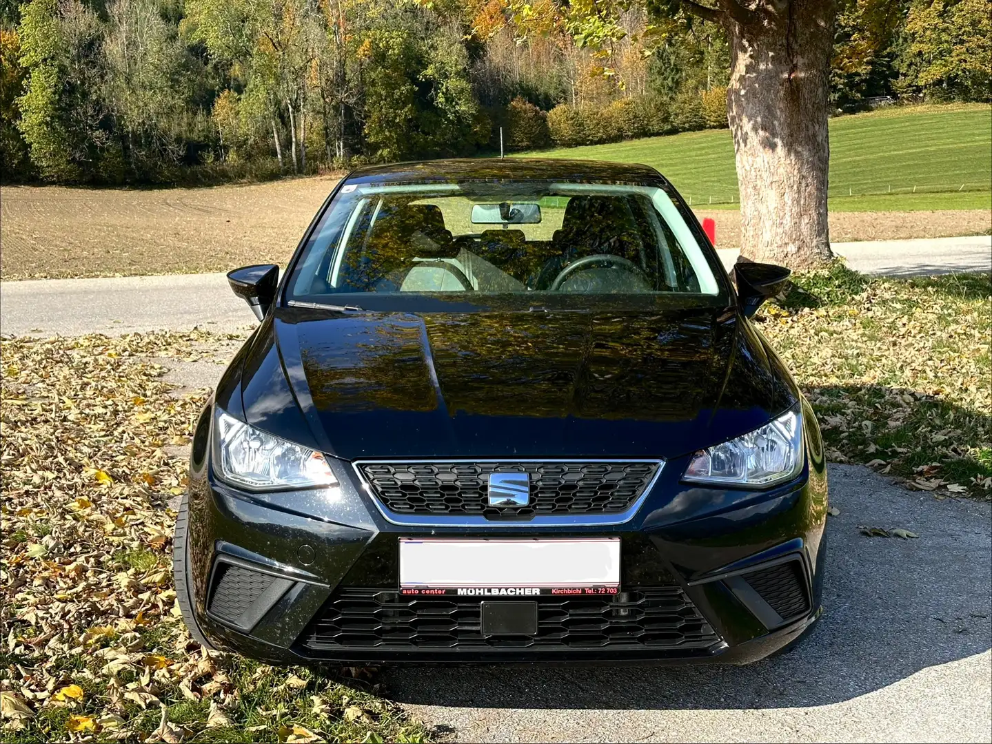 SEAT Ibiza Ibiza 1,0 ECO TSI Reference Schwarz - 2