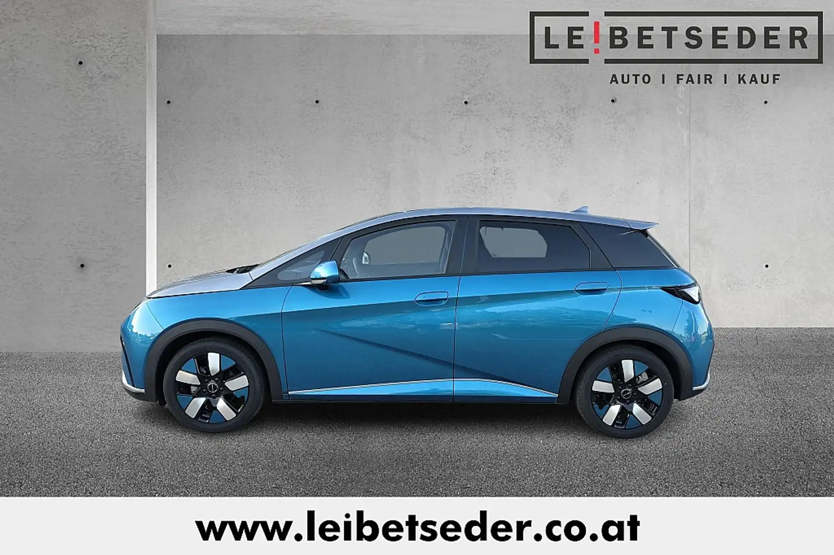 BYD Dolphin 60,4 kWh Design Österreich Paket Bleu - 2