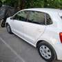 Volkswagen Polo Polo V 2009 5p 1.2 tdi Trendline Bianco - thumbnail 8