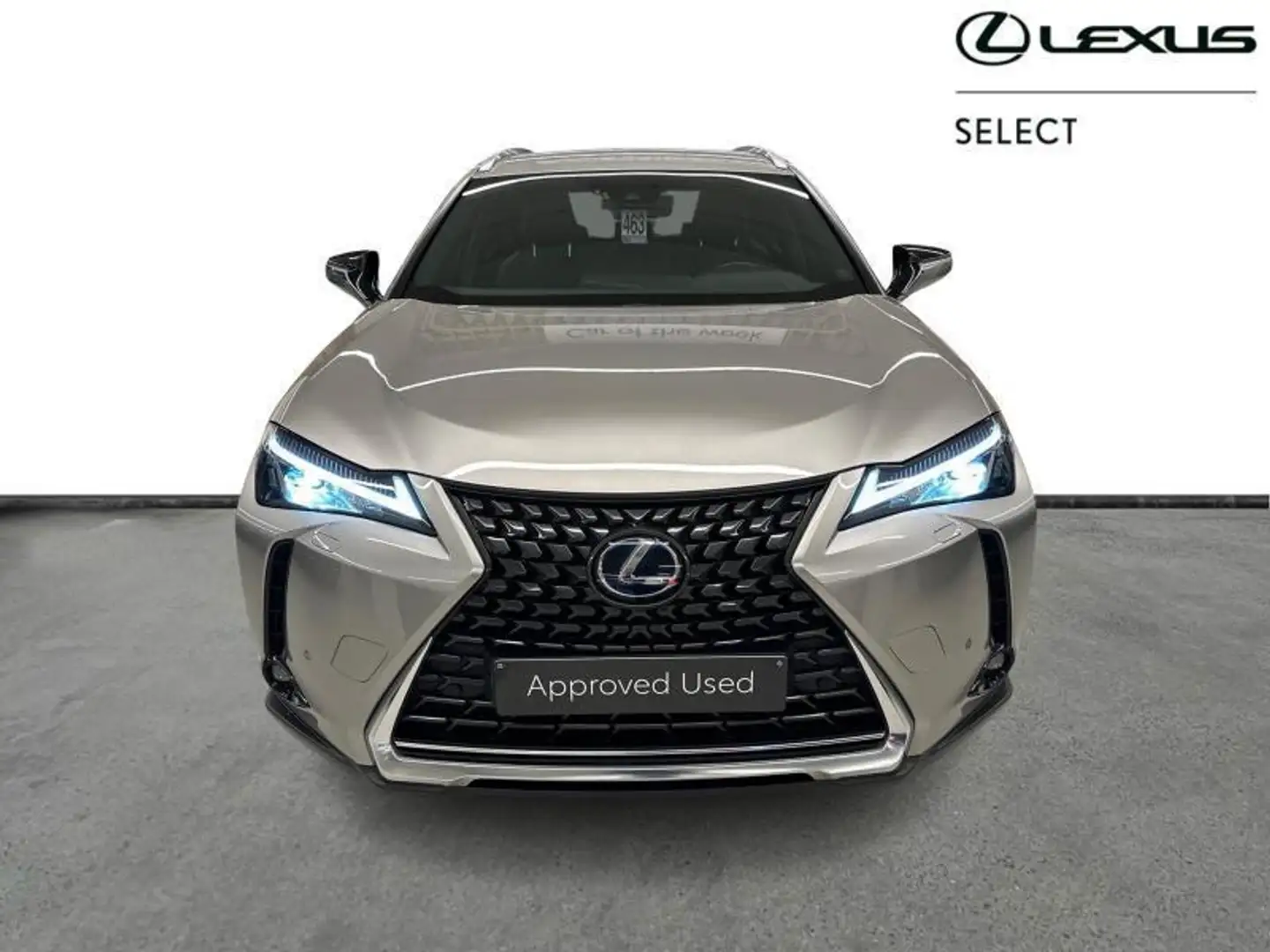 Lexus UX 250h Business line Plus Grey - 2