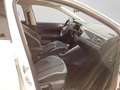 Volkswagen Polo 1.0 TSI DSG STYLE MATRIX NAVI ASSIST Bianco - thumbnail 4