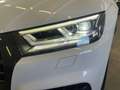 Audi SQ5 3.0 tdi mhev quattro S-line - TETTO Bianco - thumbnail 6