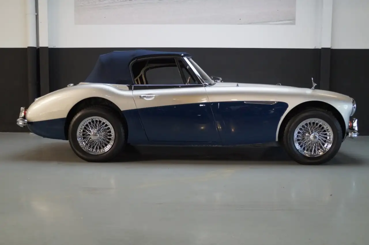 Austin-Healey 3000 MKIII BJ8 (1965), foto 4