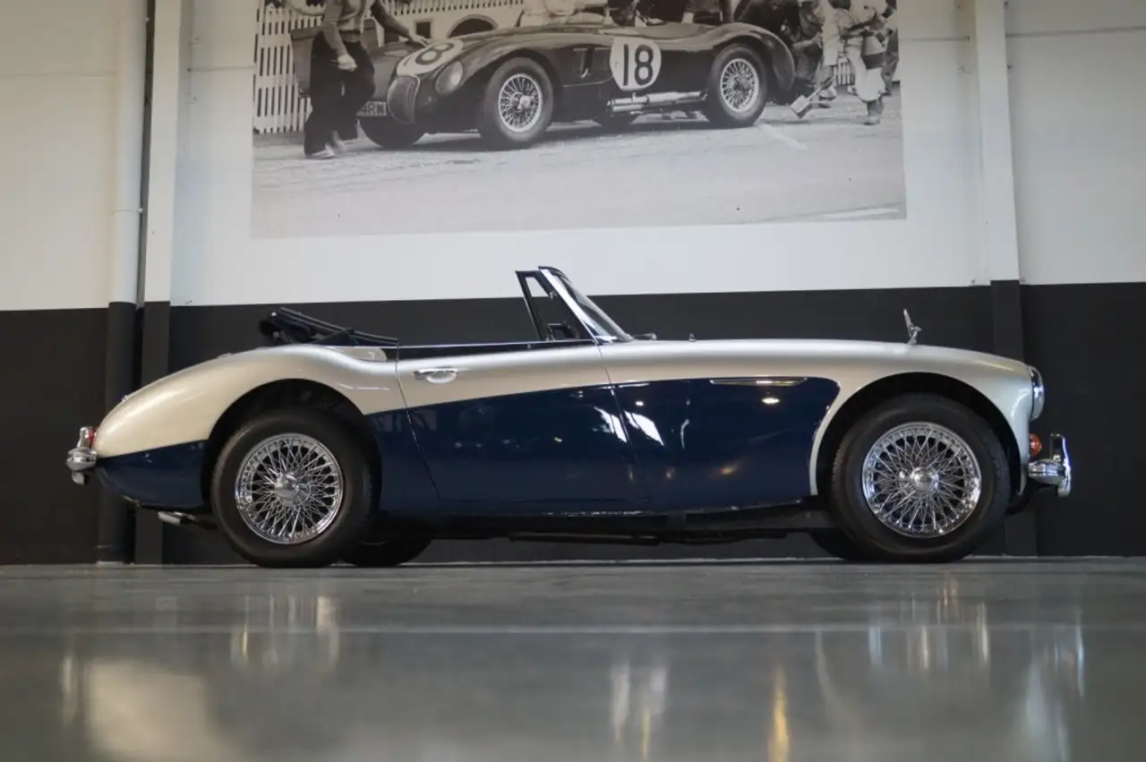 Austin-Healey 3000 MKIII BJ8 (1965), foto 3