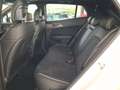 Kia Sportage 1.6 CRDi MHEV DCT GT-line Bianco - thumbnail 15