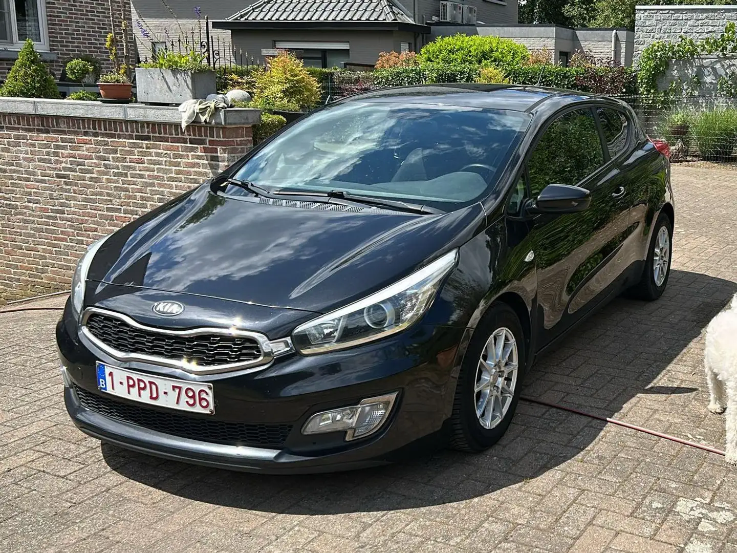 Kia ProCeed / pro_cee'd Cee'd 1.6 CRDi Edition 7 Negro - 1
