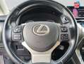 Lexus NX 300h 300h 2WD Business Euro6d-T GPS Camera Gris - thumbnail 12