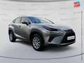 Lexus NX 300h 300h 2WD Business Euro6d-T GPS Camera Gris - thumbnail 3