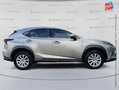 Lexus NX 300h 300h 2WD Business Euro6d-T GPS Camera Gris - thumbnail 4