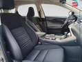 Lexus NX 300h 300h 2WD Business Euro6d-T GPS Camera Gris - thumbnail 5
