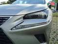 Lexus NX 300h 300h 2WD Business Euro6d-T GPS Camera Gris - thumbnail 13