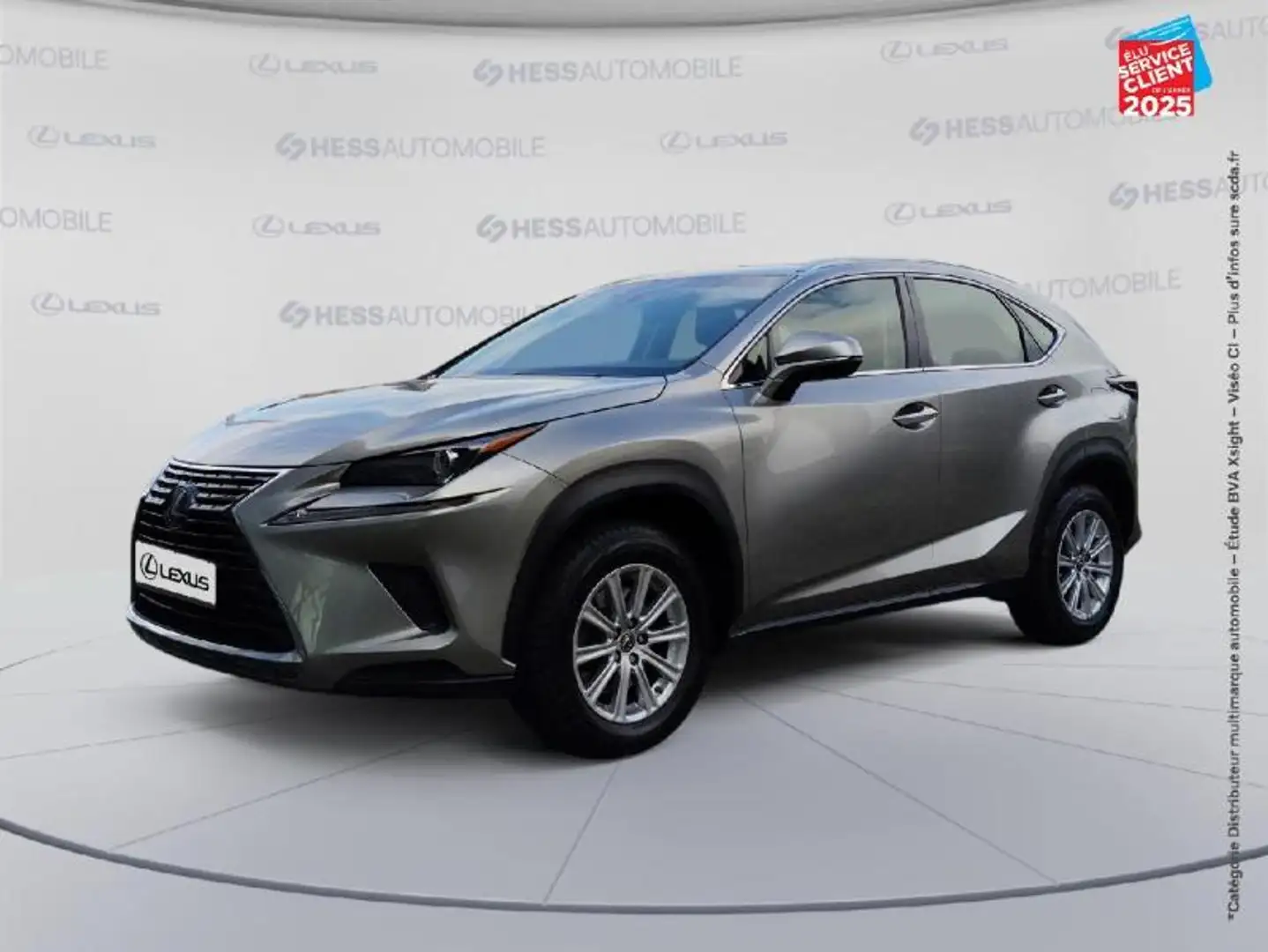 Lexus NX 300h 300h 2WD Business Euro6d-T GPS Camera Gris - 1