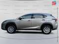 Lexus NX 300h 300h 2WD Business Euro6d-T GPS Camera Gris - thumbnail 9