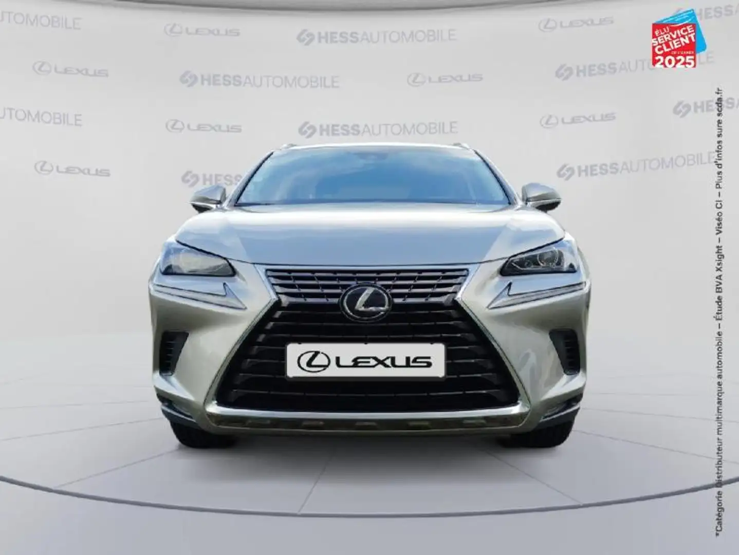 Lexus NX 300h 300h 2WD Business Euro6d-T GPS Camera Gris - 2
