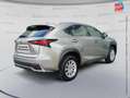 Lexus NX 300h 300h 2WD Business Euro6d-T GPS Camera Gris - thumbnail 6