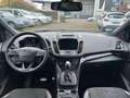 Ford Kuga ST-Line 4WD*Keyless*Kamera*Alcantara*1.Hand Gris - thumbnail 13