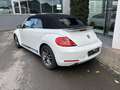 Volkswagen Beetle Sport Blanc - thumbnail 8