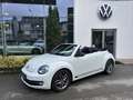 Volkswagen Beetle Sport Blanc - thumbnail 2