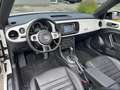 Volkswagen Beetle Sport Blanc - thumbnail 9