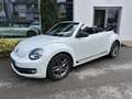 Volkswagen Beetle Sport Blanc - thumbnail 3