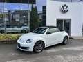 Volkswagen Beetle Sport Blanc - thumbnail 4