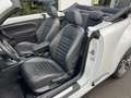 Volkswagen Beetle Sport Blanc - thumbnail 10