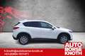 Mazda CX-5 CD150 Attraction 4WD AHV, 4 WKR Weiß - thumbnail 5