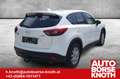 Mazda CX-5 CD150 Attraction 4WD AHV, 4 WKR Weiß - thumbnail 4