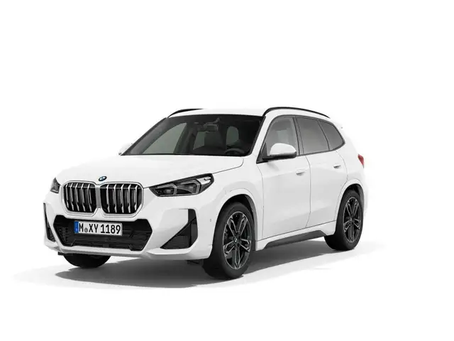BMW Autres X1 xDrive23d