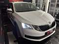 Skoda Octavia 1,6 TDI DSG Aut. Kombi *Navi*Einparkhilfe*CarPlay Weiß - thumbnail 3