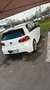Volkswagen Golf Golf 1.6 TDI 105 FAP CR Confortline Blanc - thumbnail 4