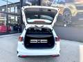 Kia Ceed SW / cee'd SW ceed SW 1,0 T-GDI GPF ISG Titan Weiß - thumbnail 7