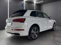 Audi Q5 3.0 Quattro S-Line /Pano/Matrix/20 " Weiß - thumbnail 2