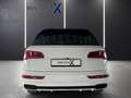 Audi Q5 3.0 Quattro S-Line /Pano/Matrix/20 " Weiß - thumbnail 6