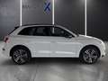 Audi Q5 3.0 Quattro S-Line /Pano/Matrix/20 " Weiß - thumbnail 8