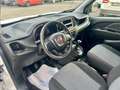 Fiat Doblo 1.3 MJT S&S PL-TN Cargo Easy + IVA Blanc - thumbnail 8