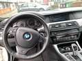 BMW 523 523i Sport-Aut. M Paket Bianco - thumbnail 6