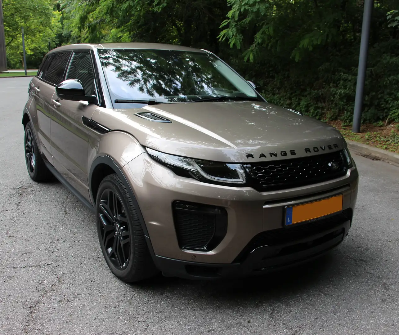 Land Rover Range Rover Evoque Range Rover Evoque Si4 HSE Dynamic Bronze - 1
