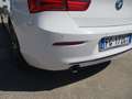 BMW 114 1.5 95CV EURO 6 SPORT MANUALE KM CERTIFICATI Wit - thumbnail 7