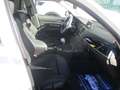 BMW 114 1.5 95CV EURO 6 SPORT MANUALE KM CERTIFICATI Wit - thumbnail 10