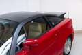 Alfa Romeo SZ 3.0 Coupé - Dutch Delivered - Recent Engine Overha Rojo - thumbnail 25